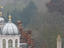 Misty rooftop view with domes at dusk.