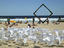 Image_24132-9