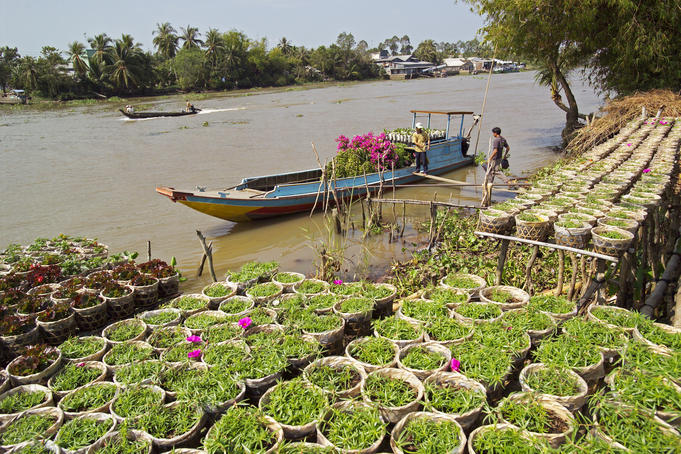 Destination at a glance: Vietnam