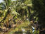 Typical river scene, Mekong Delta
