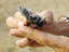 Image_24145-44