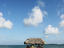 Thatched shelter, Placencia
