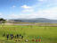 Soccer, County Donegal