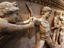 Image_24157-11