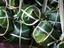 Image_24159-38
