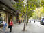 Image_24254-123