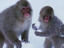 Image_24256-2