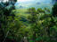 Image_2430-10