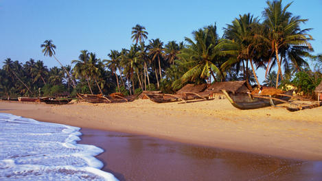 Image_244-8