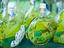 Limoncello bottles, Amalfi Coast