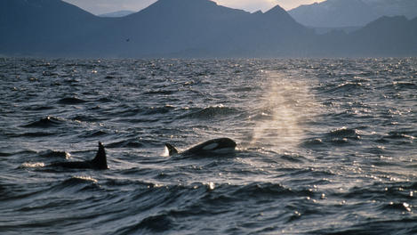 Image_24476-2