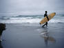 Surfer walks towards the sea, Undsta.