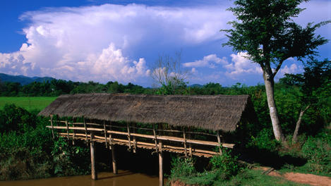 Image_2448-53