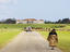 Image_24490-11