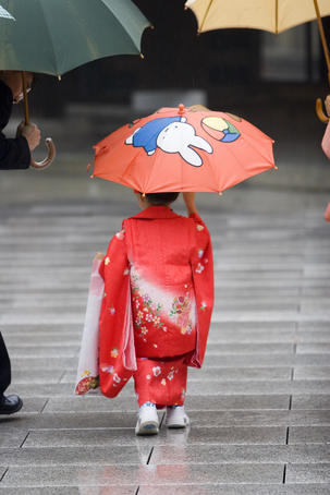 Young girl, in traditional kimono with her umbrella at Meiji-Jingu, in Omote-Sando.