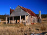 The restored Campbell House, part of the Coolamine Homestead complex, with Eastern Grey Kangaroo (Macropus Giganteus).