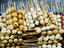 Image_24555-17