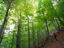 GR20 walking trail, Corsica