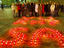 Crowd looking at candles commemorating All Soul's Day (Velines).