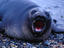 Image_24569-3
