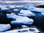 Icebergs in bay at Petermann Island, Wilhelm Archipelago.