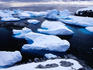 Icebergs in bay at Petermann Island, Wilhelm Archipelago.