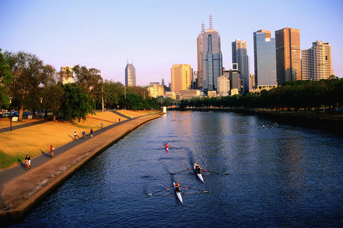 Rowers on Yarra River with city skyscrapers in background.