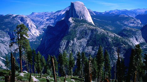 Image_2460-24