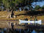 Kayaking down Zambezi, Zimbabwe