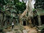 Ta Prohm temple, Siem Reap