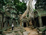 Tourist at Ta Prohm temple.