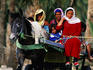 People travelling by donkey cart.