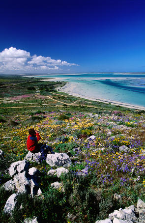 Female hiker looking over beach.