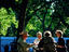 Alfresco diners, Boschendal winery, South Africa