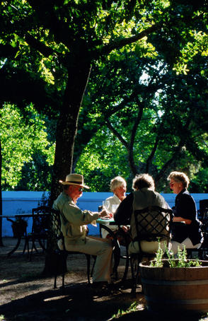 Alfresco diners, Boschendal winery.