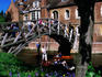 People punting under Queen's College near Mathematical Bridge