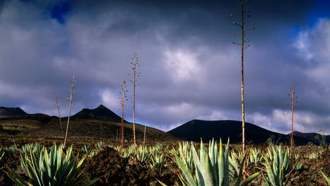 Gran Canaria Image Gallery