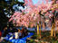 Image_24639-37