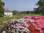 Fota Island, County Cork