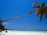 Bwejuu Beach - Zanzibar