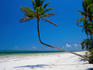 Bwejuu Beach - Zanzibar