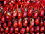 Crayfish, Hankou, China