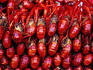 Crayfish for sale, corner of Ruixiang Lu and Jiqing Jie, Hankou.