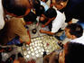 Locals buying crickets at bird and insect market.