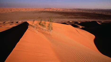 Image_24716-34