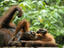 Image_24725-1