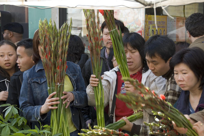 Selling flowers at the Chinese New Year Flower Fair.