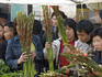 Selling flowers at the Chinese New Year Flower Fair.