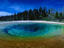 Geyser Basin in Yellowstone National Park