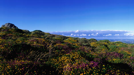 Image_24766-4